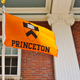 Illustration for article titled Princeton University Admitted Systemic Racism Is a Problem So the Department of Education Launched an Investigation